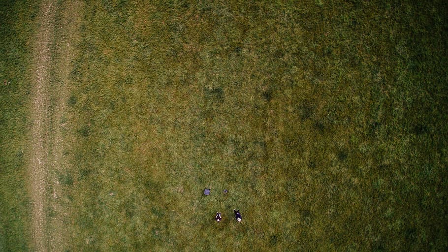 aerial photography of green grass, untitled, fleece, field, person, HD wallpaper