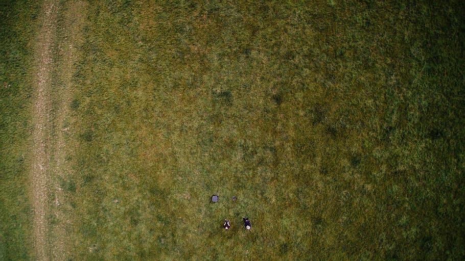 aerial photography of green grass, untitled, fleece, field, person HD wallpaper