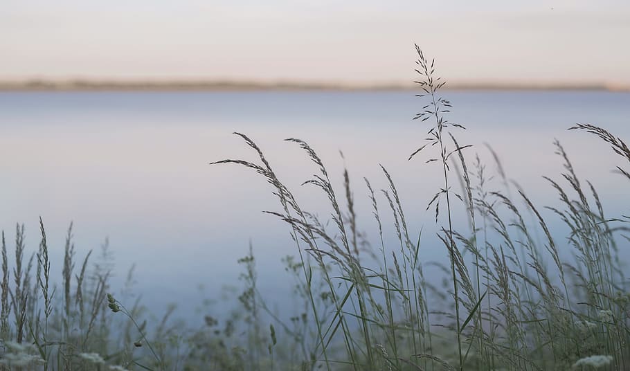 Lake, Denmark, Sunset, Water, Nature, sky, outdoor, outdoors HD wallpaper