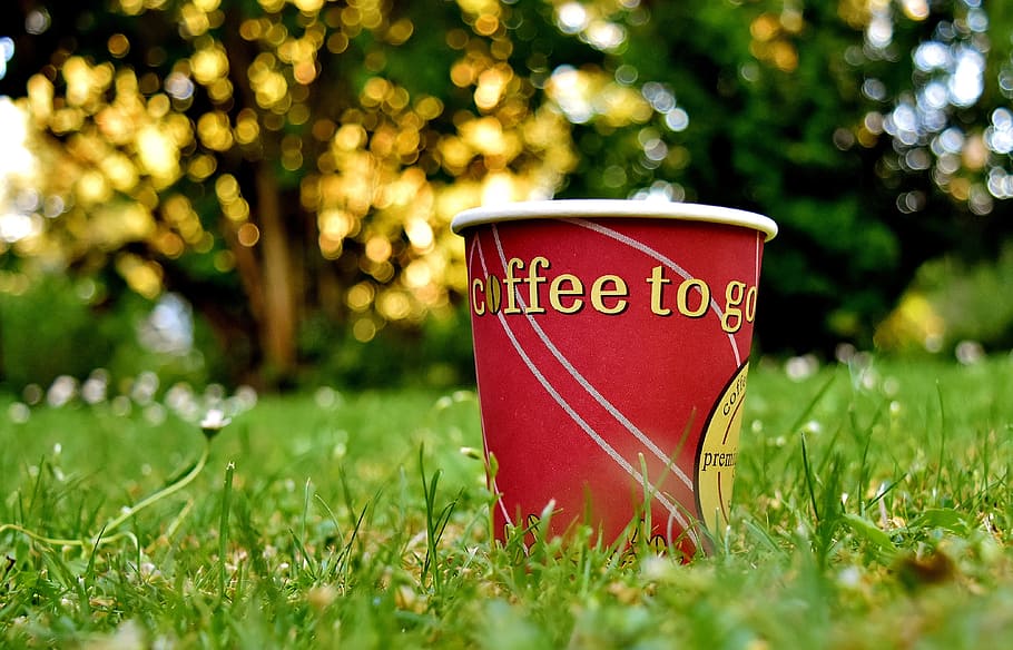 selective focus photography of red and white cup on green grass at daytime