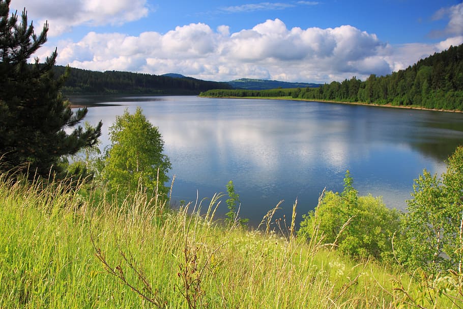 body of water near trees at daytime, Calm, Clouds, Environment HD wallpaper
