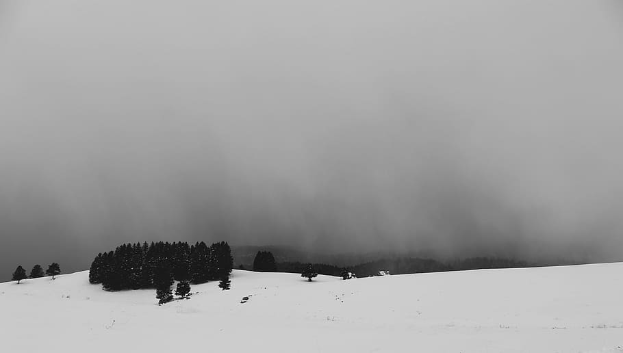 green leafed trees on snow-covered land, snow mountain cover with fog HD wallpaper