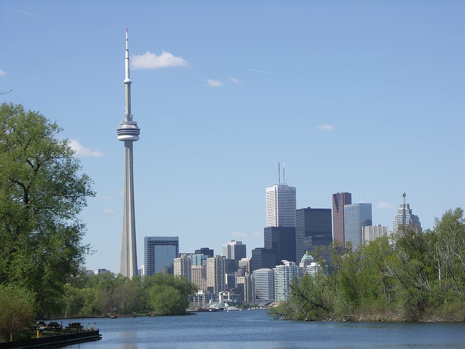 Toronto City building, canada, skyline, cn tower, built structure HD wallpaper