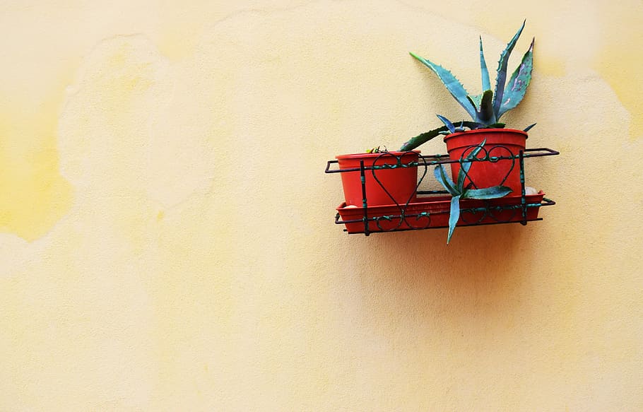 black steel ledge, two red pots on black floating shelf, planter HD wallpaper