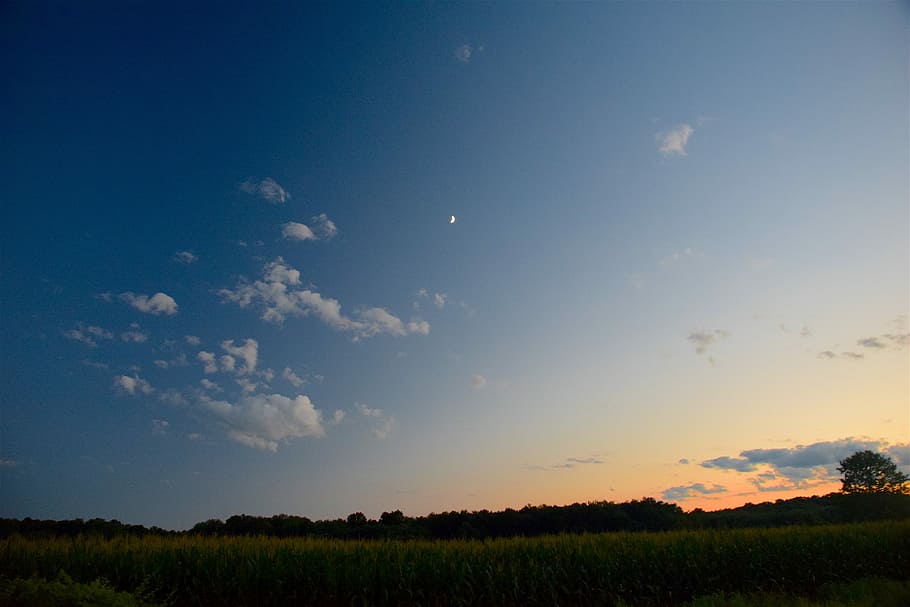 Sunset, Moon, Nature, Landscape, sky, evening, scenic, blue HD wallpaper