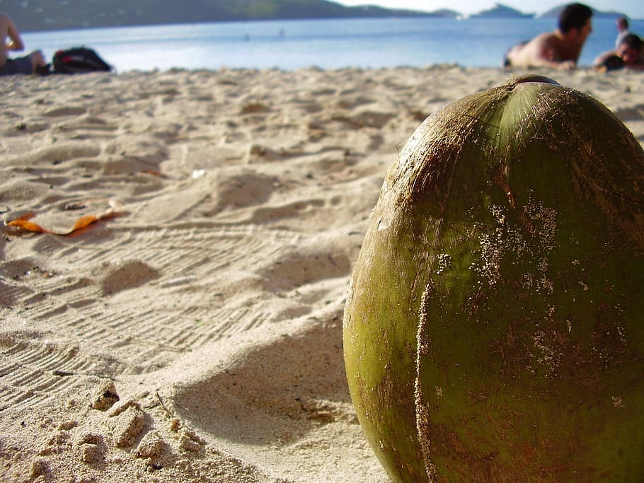 coconut, close-up, sand, beach, summer, sand beach, beautiful beach, HD wallpaper