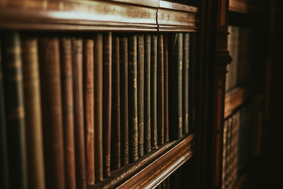close-up photography of bookcase, brown wooden door, library HD wallpaper