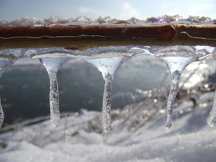 ice, winter, macro, frost, snow, white, cold, ice crystals HD wallpaper