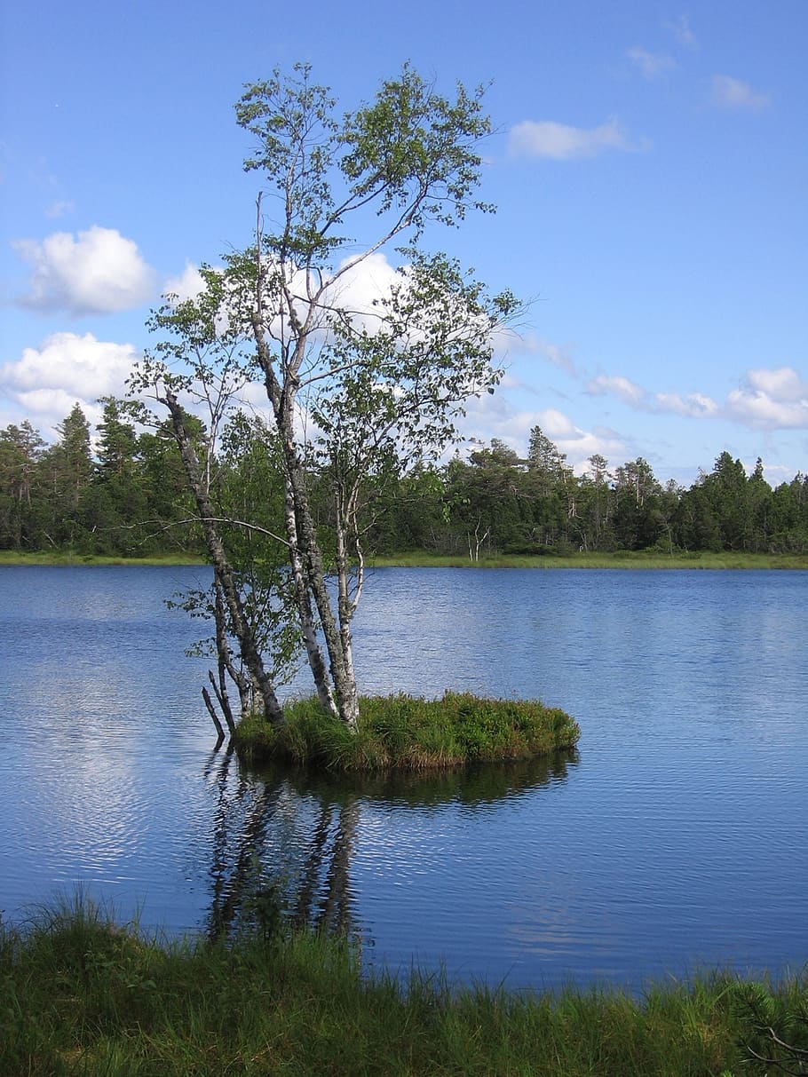 nature, island, lake, tree, plant, water, tranquility, tranquil scene HD wallpaper