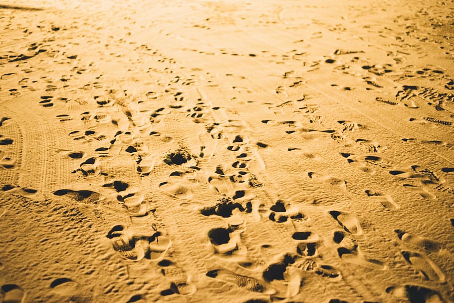 brown sand with footprints at daytime, white, beach, footsteps HD wallpaper
