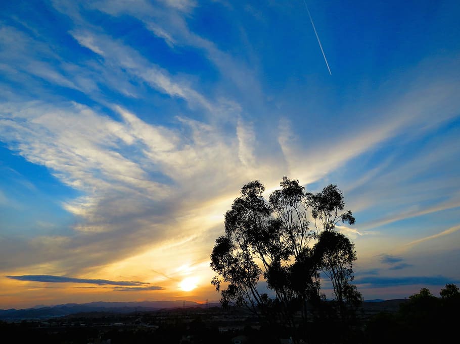 sunset, clouds, tree, sky, nature, blue, light, view, horizon HD wallpaper