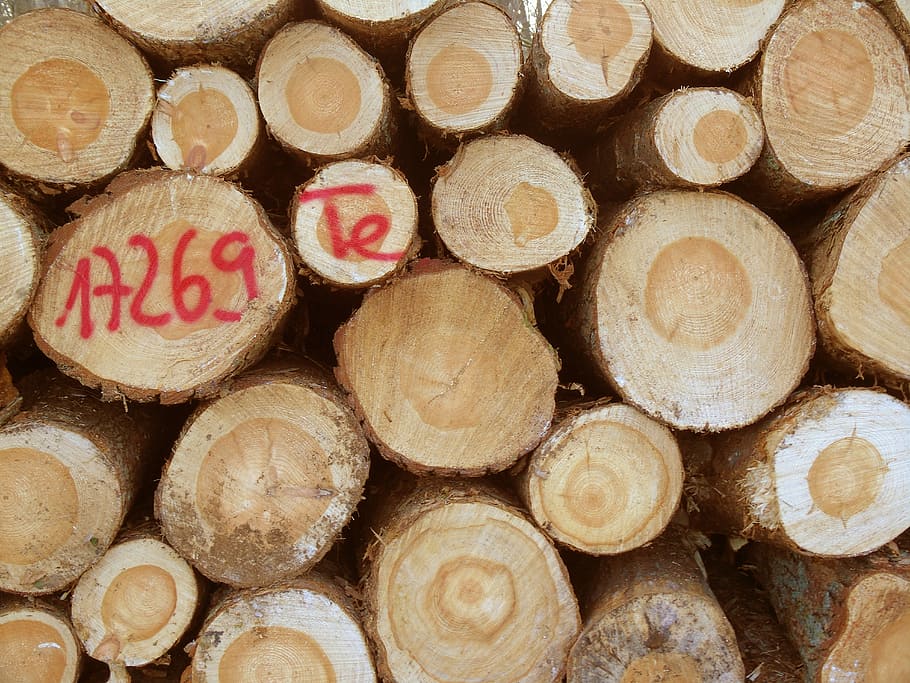 Wood, Tree Trunks, Forestry, Log, timber industry, cut down HD wallpaper