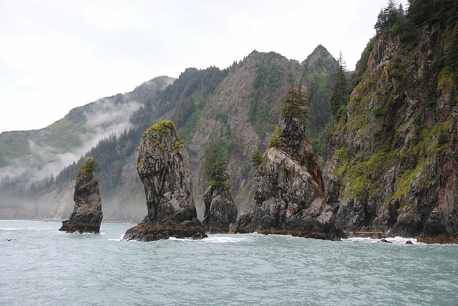 alaska, nature, wilderness, sea, coastline, beach, landscape HD wallpaper