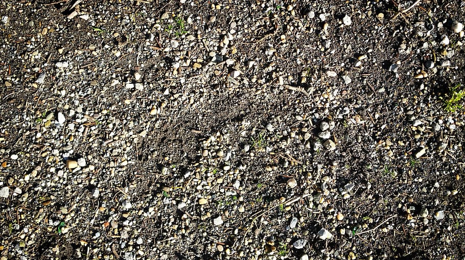 pebble, underground, background, texture, garden, nature, earth HD wallpaper
