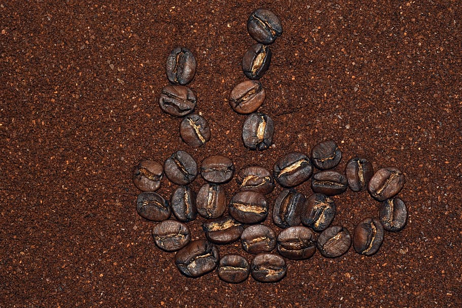 Coffee Cup, Cafe, Beans, Drink, benefit from, coffee beans HD wallpaper