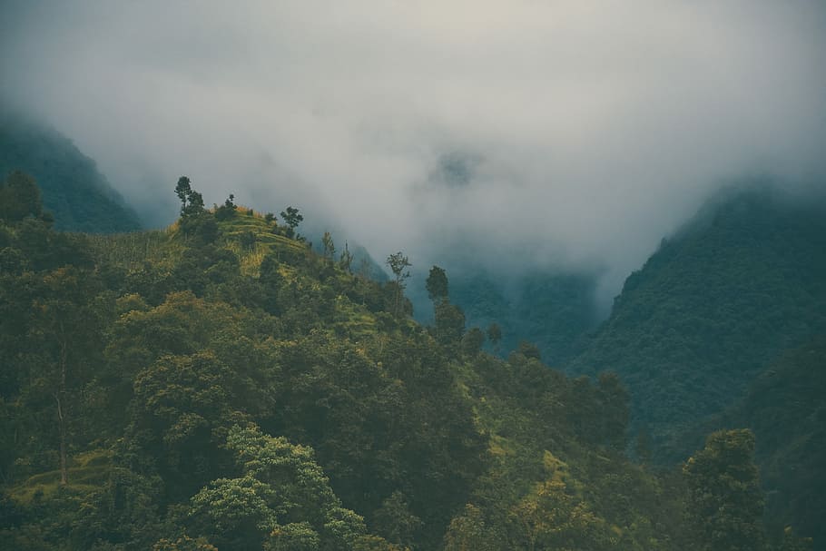 mountain covered by clouds, bird's eye view photography of mountain with fogs HD wallpaper