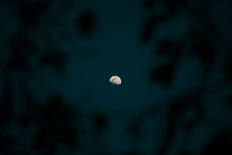 moon photo, backgrounds, abstract, nature, defocused, illuminated HD wallpaper