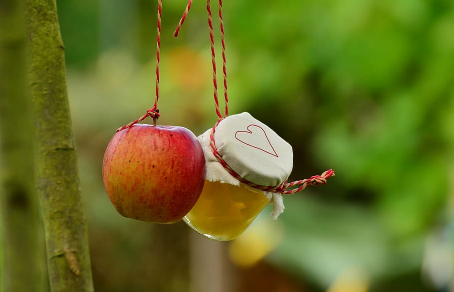 red apple and clear glass jar hanging on red strings in shallow focus shot HD wallpaper