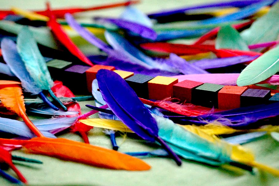 assorted-color feather lot, craft, art, colorful, creative HD wallpaper