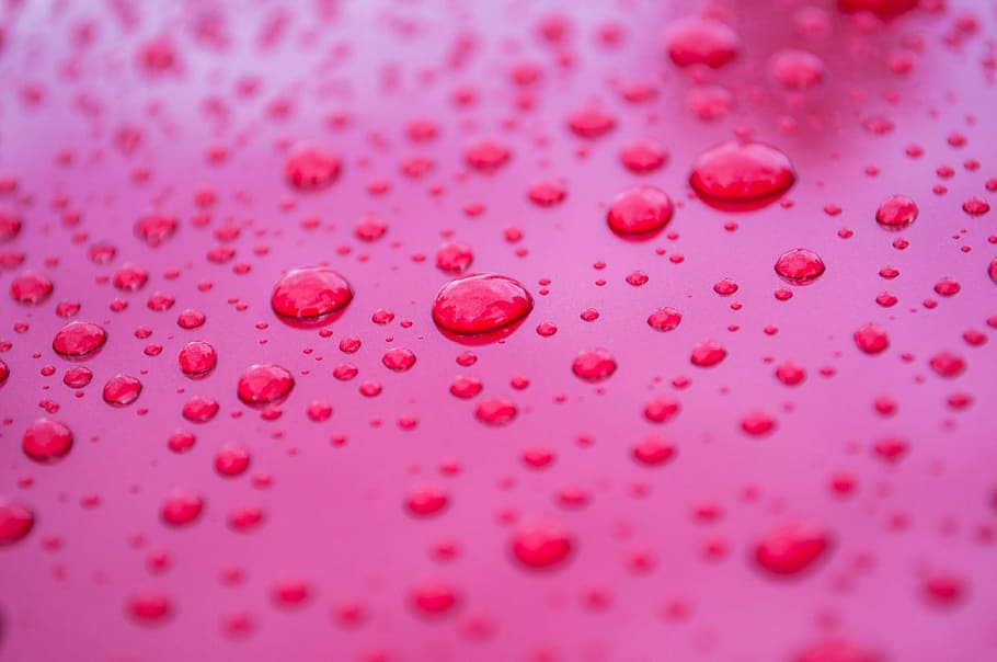 close-up photography of water droplets, raindrops, wet, aqua HD wallpaper