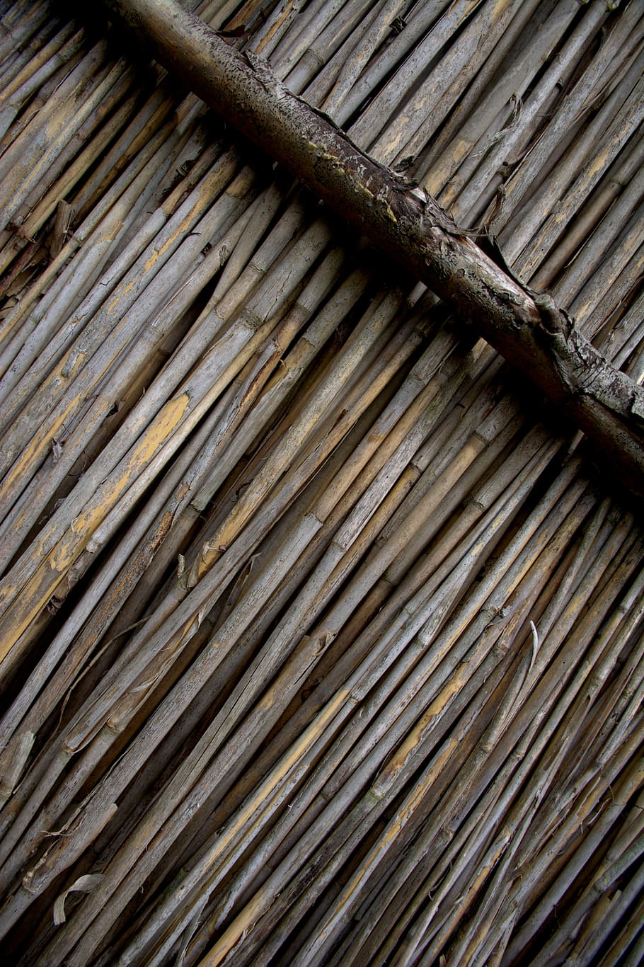 reed, nature, structure, countryside, wood - material, pattern HD wallpaper