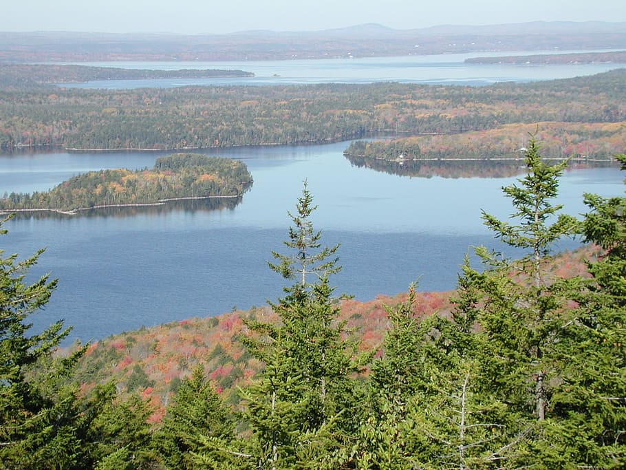 new england, trees, forest, pine trees, woods, water, islands HD wallpaper