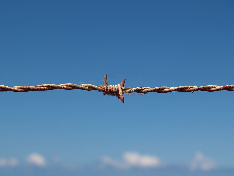 macro photography of barbed wire, Blood, Refugees, Border, fence