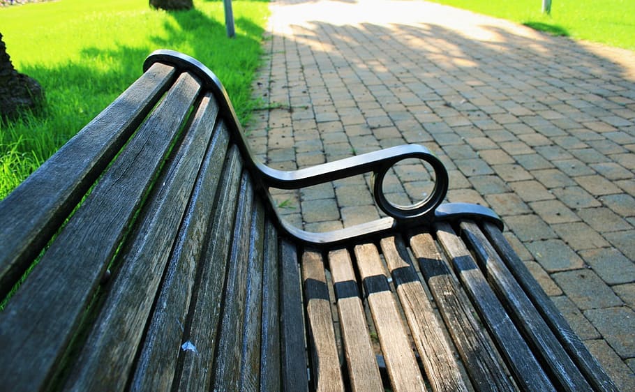 park, green, path, paving, bench, wooden, rest, no people, day HD wallpaper