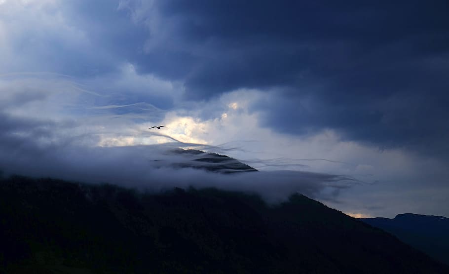 bird flying on a cloudy sky, bird soaring near mountains, cloudscape HD wallpaper