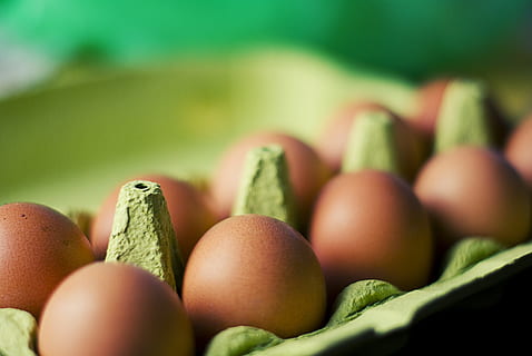 food, eggs, healthy eating, food and drink, freshness, selective focus HD wallpaper