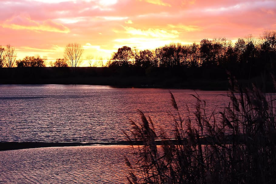 Sunset, Evening, Sky, Trees, afterglow, evening sky, silhuette HD wallpaper