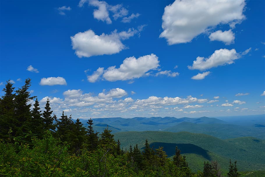 mountainside, clouds, view, trees, pine, landscape, nature HD wallpaper