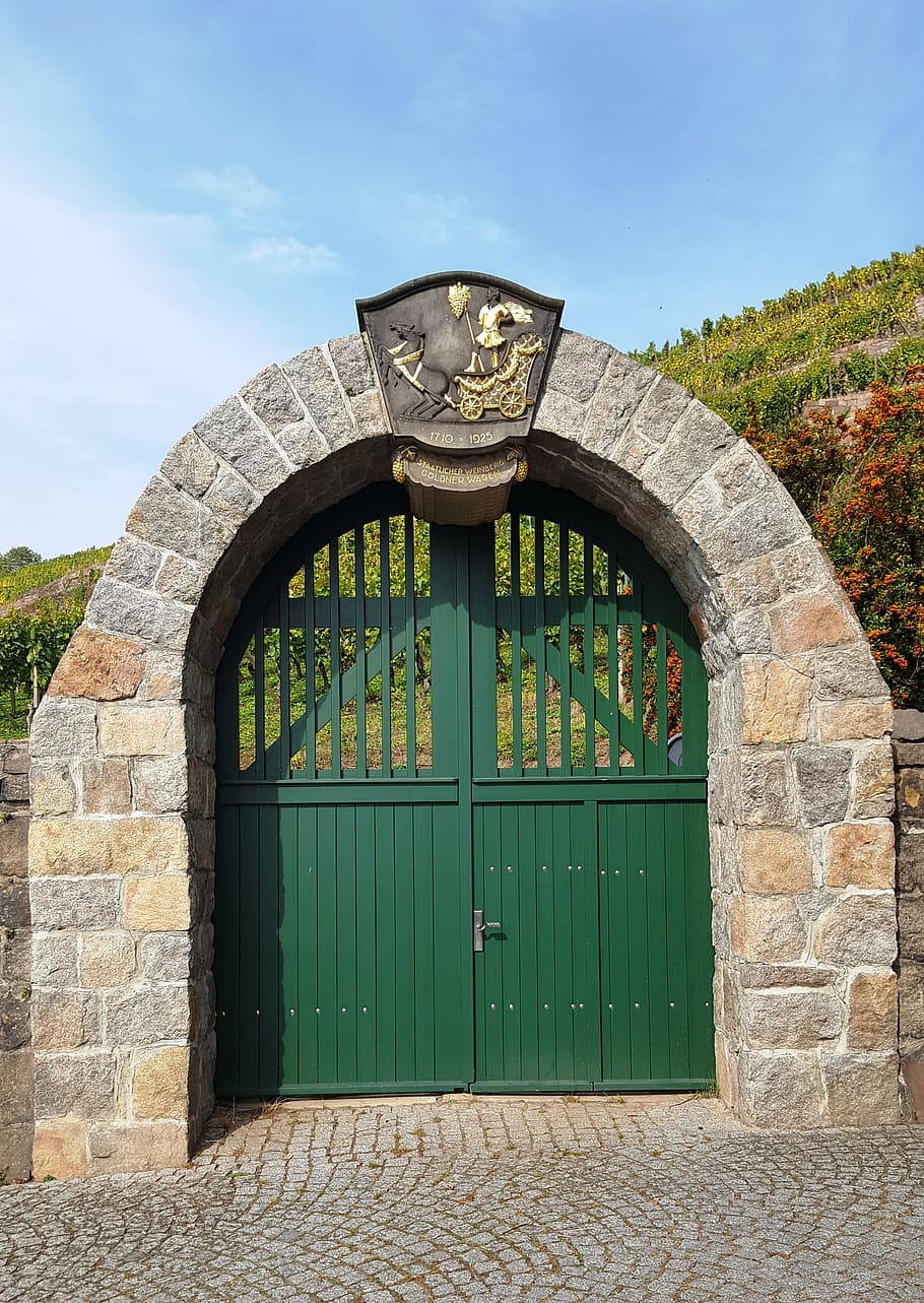 goal, vineyard, winemaker, green, architecture, built structure HD wallpaper