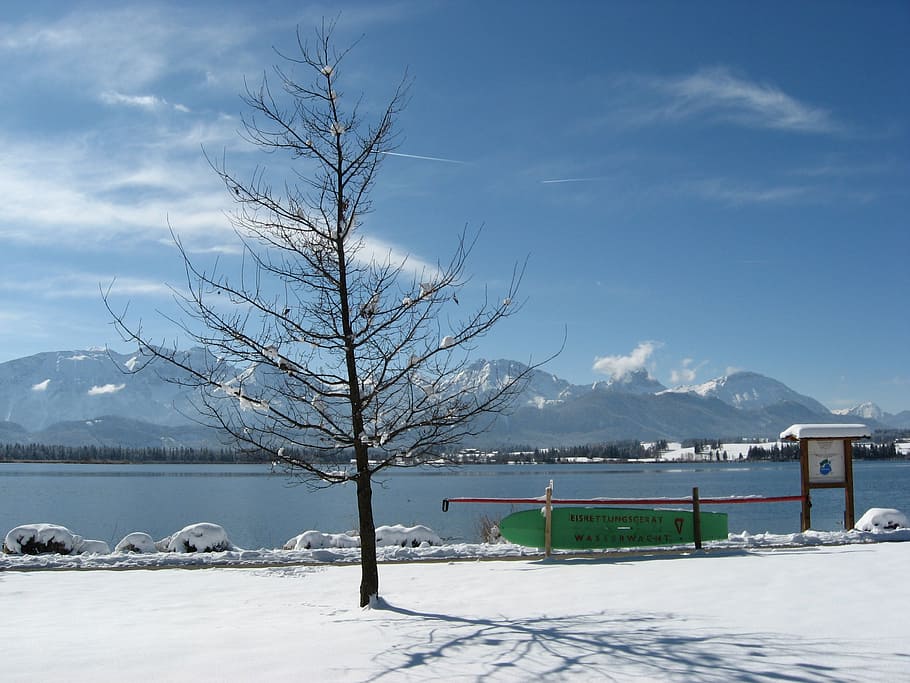 winter, snow, clouds, sky, white, cold, all, wintry, landscape HD wallpaper