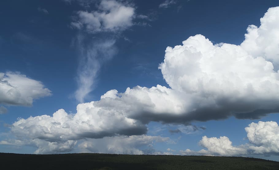 sky, blue, outdoor, cloud, photography, tree, weather, forest HD wallpaper