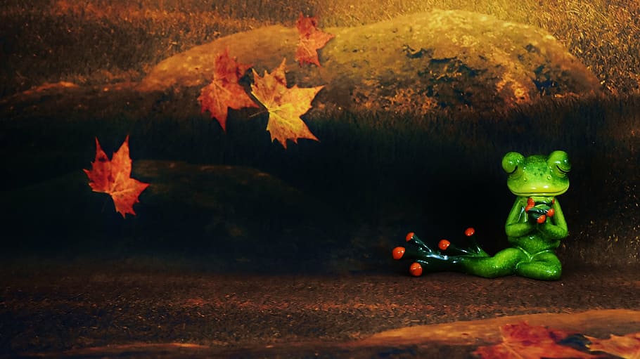 frog, pray, forest, mood, decoration, figure, harmony, funny HD wallpaper