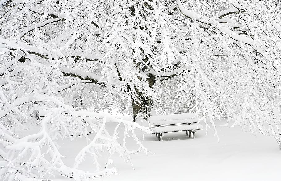 bench, cold, fog, mountain, snow, tree, winter, cold - Temperature HD wallpaper