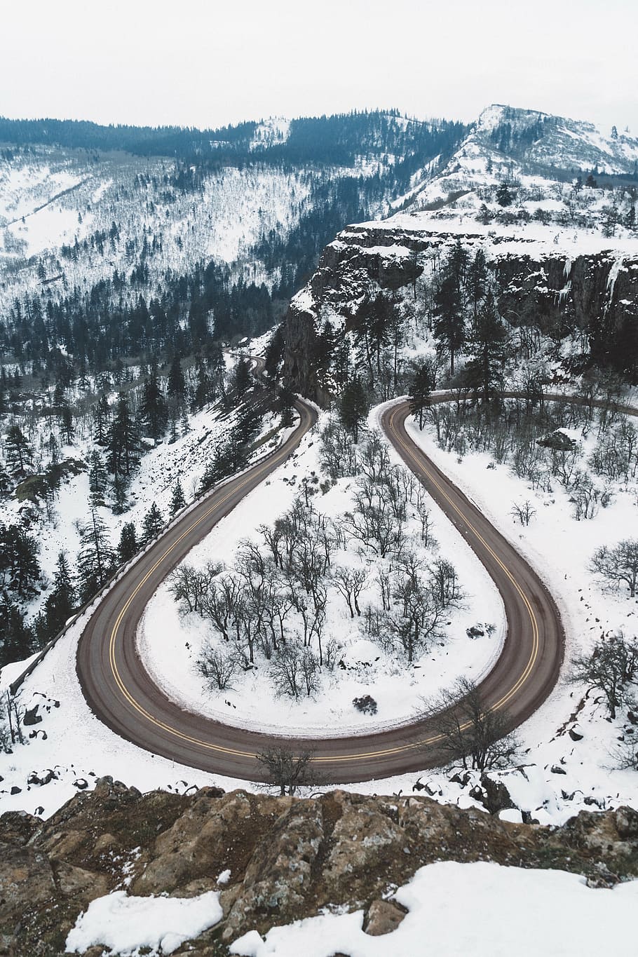 horseshoe road surrounded with trees, snow, winter, white, cold HD wallpaper