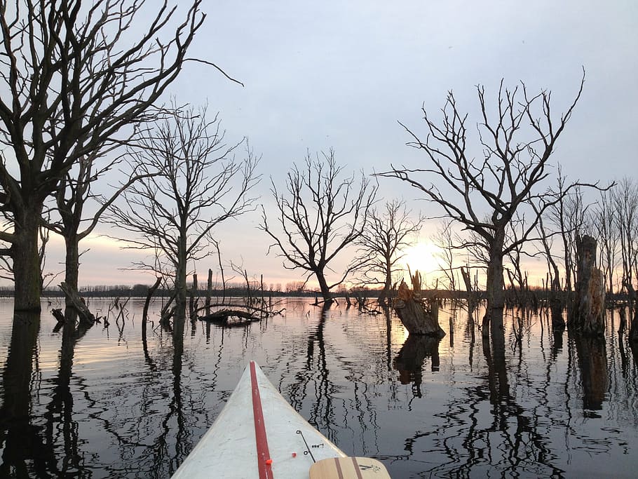 canoeing, lake, water, landscape, paddler, canoeist, reflection, HD wallpaper