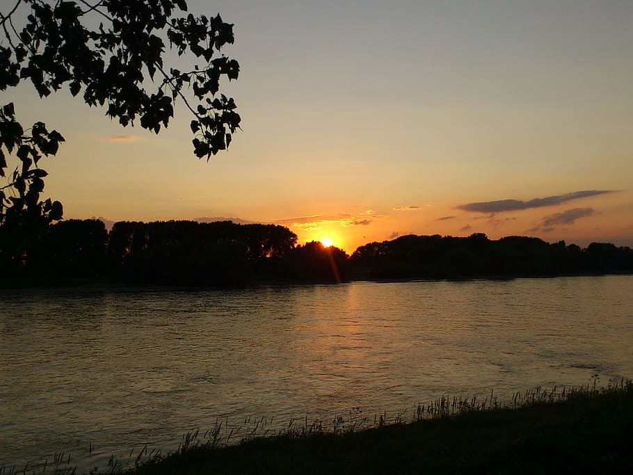 sunset, rhine, dusk, sky, water, beauty in nature, tranquility HD wallpaper
