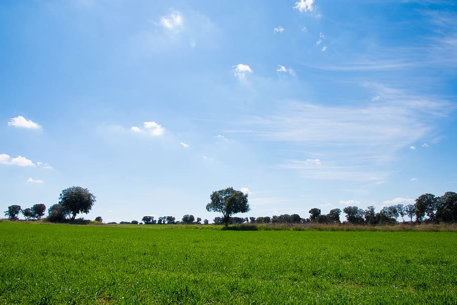 sky, green, blue, spring, hike, nature, landscape, outdoor HD wallpaper
