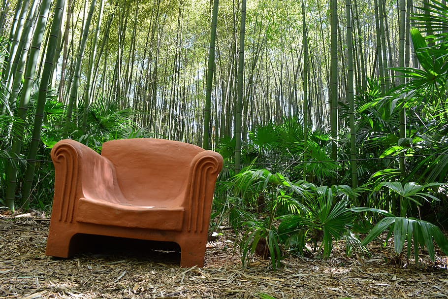 art, nature, zen, tree, plant, land, forest, growth, day, tranquility HD wallpaper