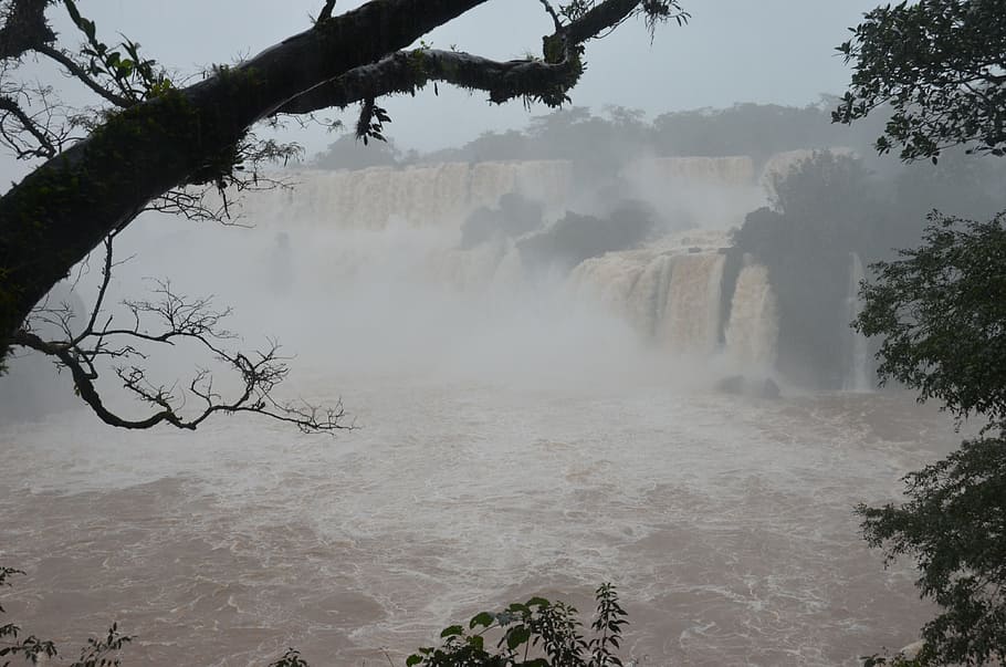 Iguazu, Waterfall, Argentina, Falls, flow, landscape, wilderness, HD wallpaper