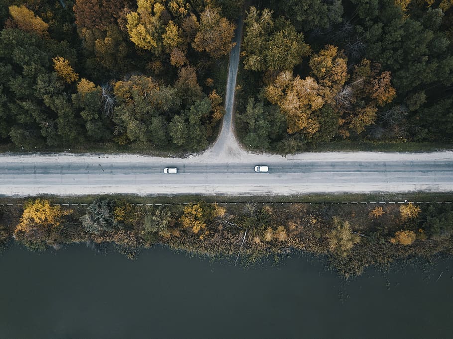 bird's eye view photo of road between green leafed trees, aerial photography of road beside body of water with trees HD wallpaper