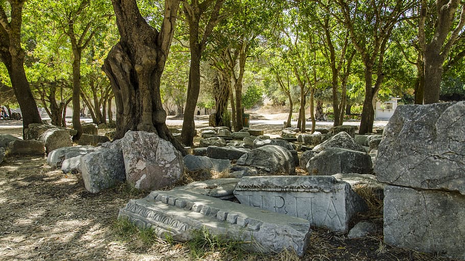 ancient, stones, greece, tree, plant, solid, nature, no people HD wallpaper