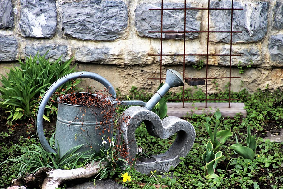 gray watering can on green grass during daytime, heart, decoration, HD wallpaper