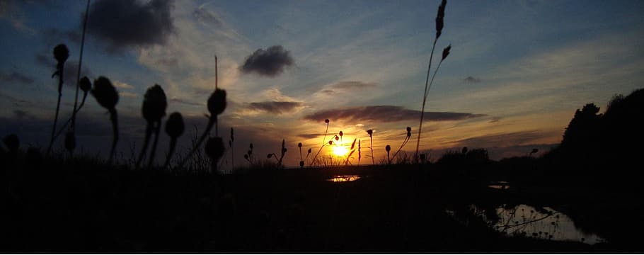 nature, beach, sunset, ocean, sky, cloud - sky, silhouette HD wallpaper