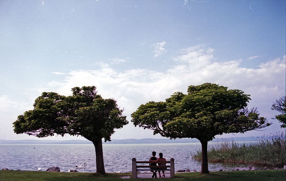 couple on bench between trees beside body of water, lovers, lake