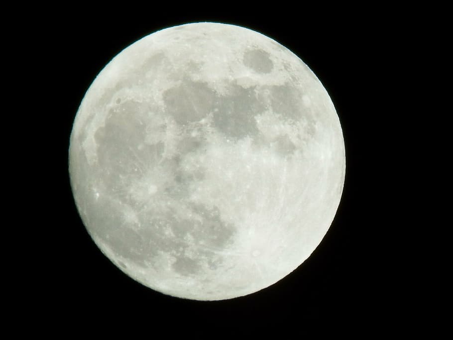 photo of full moon, natural, starry sky, night, circle, moon surface HD wallpaper