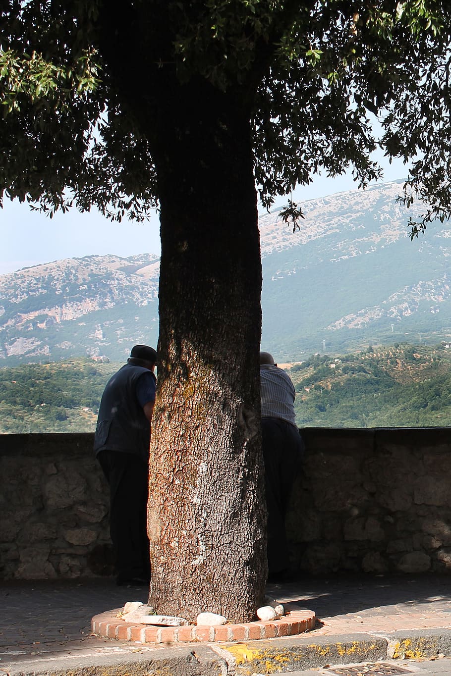 Tree, People, Landscape, mountain, day, outdoors, no people HD wallpaper